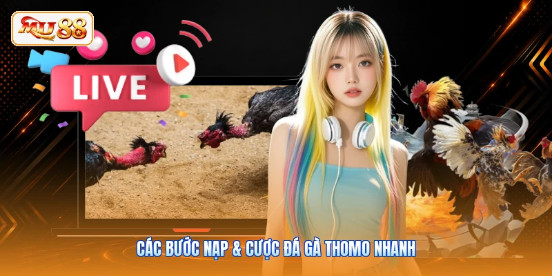 Nạp & Cược Đá Gà Thomo - Lối Chơi An Toàn Tại MU88 Các bước nạp & cược đá gà Thomo nhanh