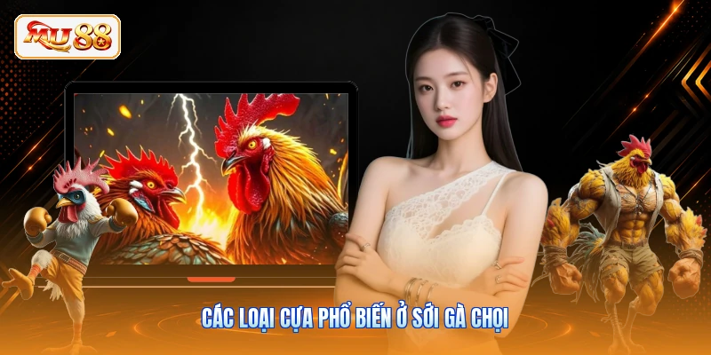 Đá Gà Thomo - Đấu Trường Chiến Kê Nảy Lửa Cùng MU88 Các loại cựa phổ biến ở sới gà chọi