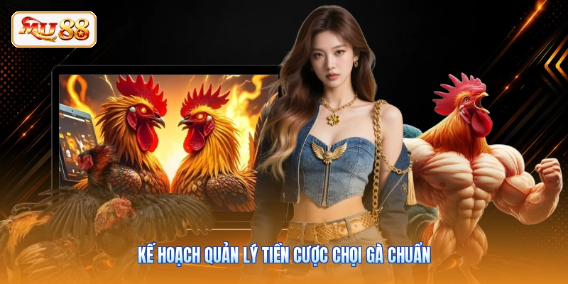 Nạp & Cược Đá Gà Thomo - Lối Chơi An Toàn Tại MU88 Kế hoạch quản lý tiền cược chọi gà chuẩn