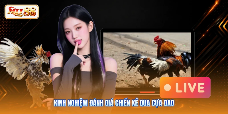 Nạp & Cược Đá Gà Thomo - Lối Chơi An Toàn Tại MU88 Kinh nghiệm đánh giá chiến kê qua cựa dao