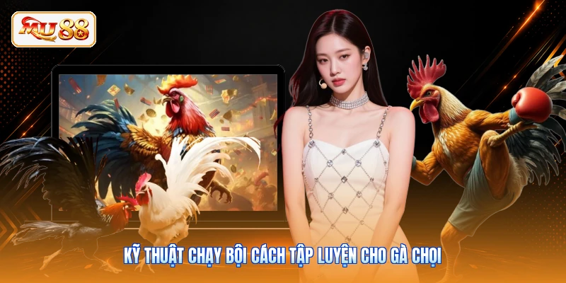 Cách Tập Luyện Cho Gà Chọi Săn Chắc Gân Cốt Tại MU88 Kỹ thuật chạy bội cách tập luyện cho gà chọi
