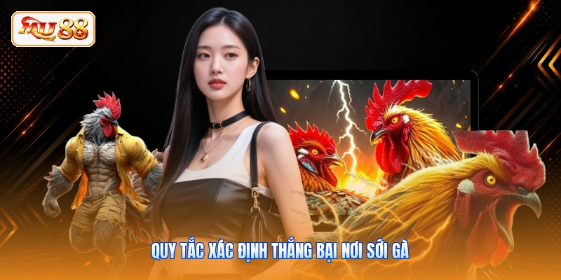 Đá Gà Thomo - Đấu Trường Chiến Kê Nảy Lửa Cùng MU88 Quy tắc xác định thắng bại nơi sới gà