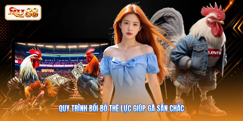 Cách Tập Luyện Cho Gà Chọi Săn Chắc Gân Cốt Tại MU88 Quy trình bồi bổ thể lực giúp gà săn chắc
